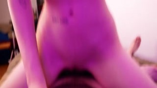FoxyElf 1